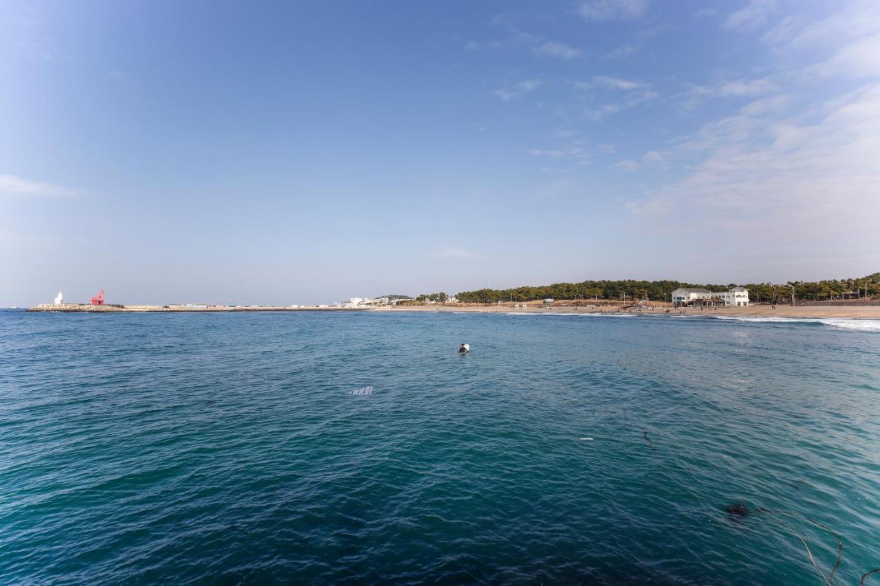 Jeju Ocean Family Hotel Eksteriør billede